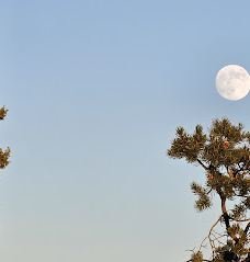 Le Fevre Overlook-科科尼诺县
