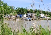 Alligator Alley RV Park景点图片