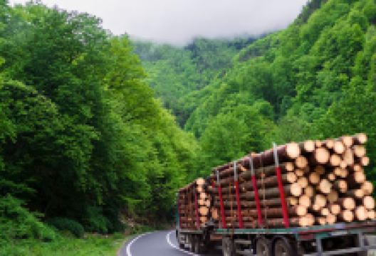 Stânca Grunzii景点图片