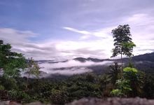 Consolacion Viewpoint景点图片