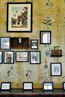 Big Island Bees-Honaunau-Napoopoo