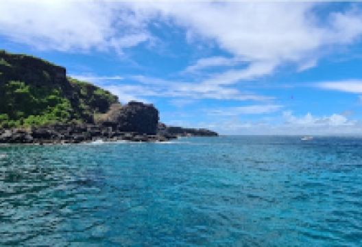 Croisières Australes景点图片