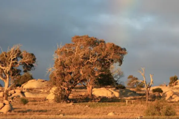 Mt Rothwel Mt Rothwell Biodiversity Interpretation Centre|吉朗Mt Rothwell ...