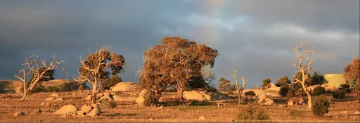 Mount Rothwell Mt Rothwell Biodiversity Interpretation Centre|吉朗Mt Rothwell ...