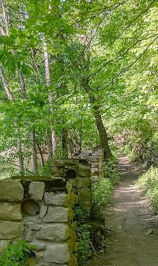 Rouge Park-底特律