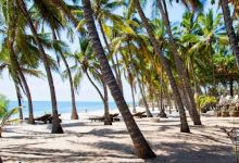 Tiwi Beach景点图片