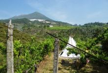 Quinta do Rio - Natuurcamping Noord Portugal景点图片