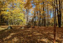 Moosehead Lake Campground景点图片