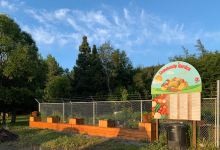 Community Gardens景点图片