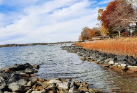 Oxford Town Park景点图片