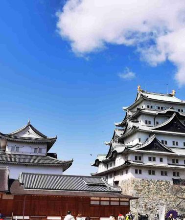 6D5N • Exquisite Short Break Collection-Nagoya, Kyoto, Nara, Osaka, Kobe, Himeji, Hiroshima