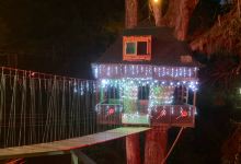 The treehouse景点图片