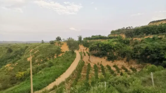 卧虎山