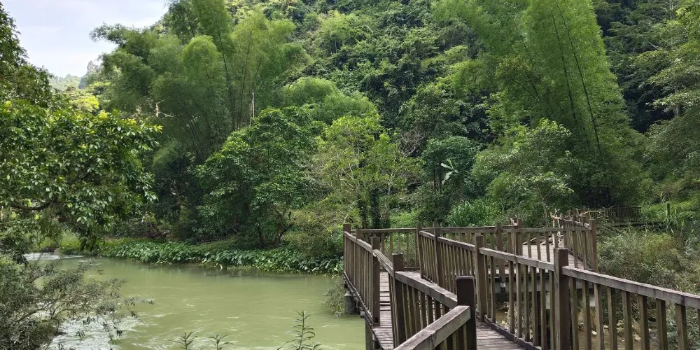 永安旅遊