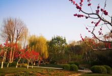 深州东山植物公园景点图片