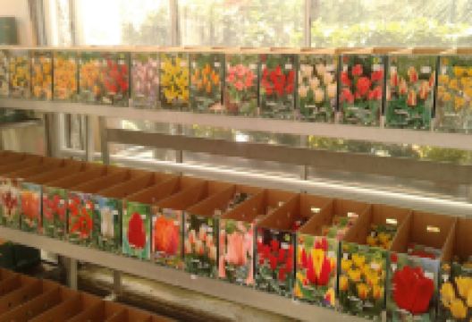 Michel’s Gartenmarkt Inh. Philip Michel购物图片