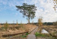 Grootmeer en Kleinmeer景点图片