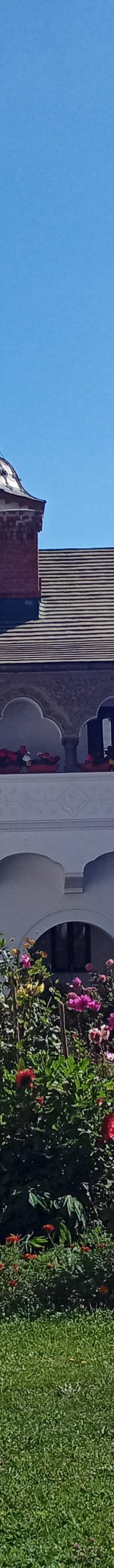 锡纳亚修道院-希奈亚