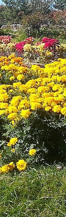 名城公园-名古屋