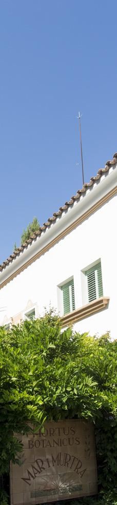 Jardin Botanico Marimurtra-布拉内斯