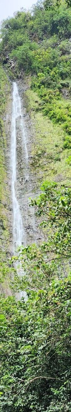 皮皮崴小径-茂宜县