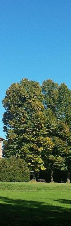 Parco Regionale La Mandria-都灵广域市