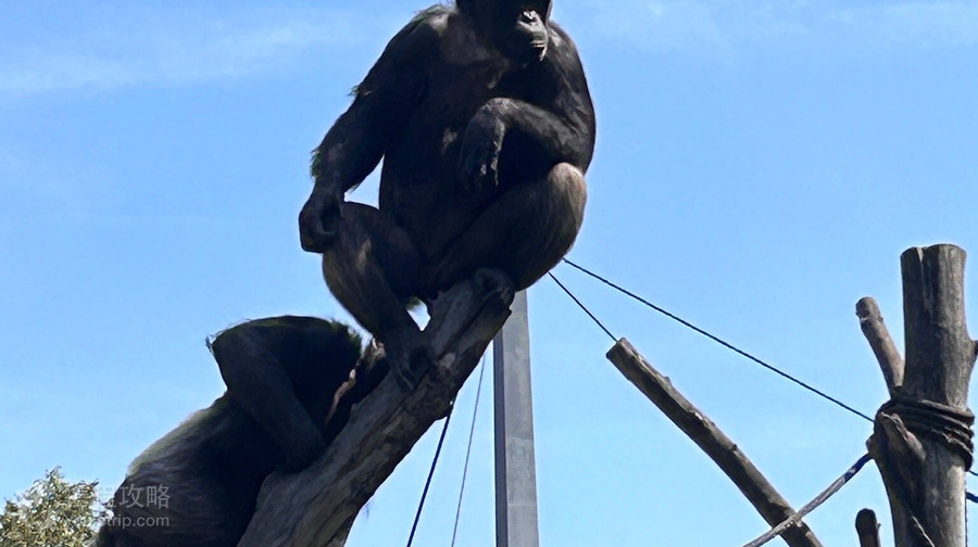 海拉布倫動物園