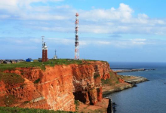 Helgolander Kegelrobben景点图片