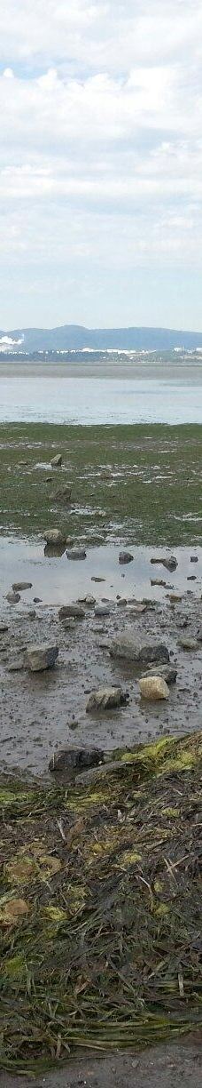 Bay View State Park-Bay View