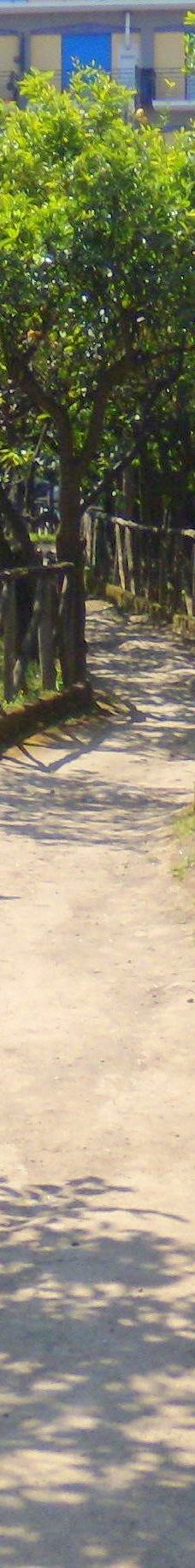 I Giardini di Cataldo-索伦托