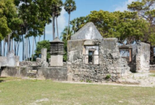 Neduntheevu （Delft Island）景点图片