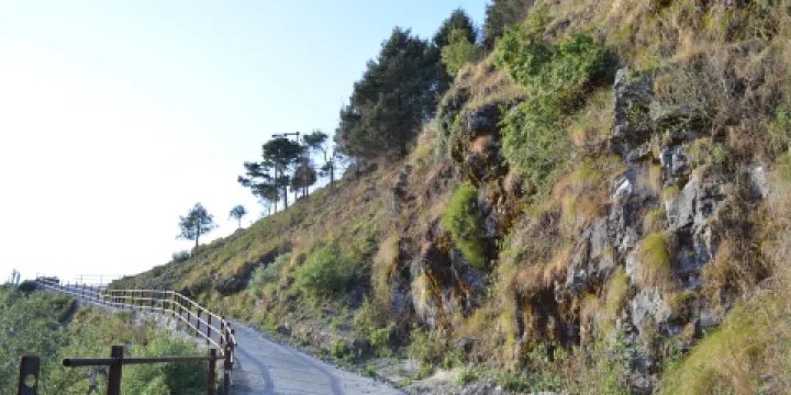 Benog Wildlife Sanctuary