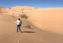 El Pinacate y Gran Desierto de Altar Biosphere Reserve景点图片
