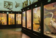 L.C. Bates Museum at Good Will-Hinckley景点图片