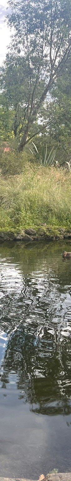 Orange Botanic Gardens-奥兰治