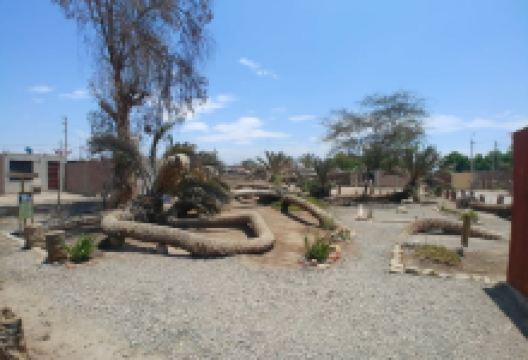 Palmera de Siete Cabezas景点图片