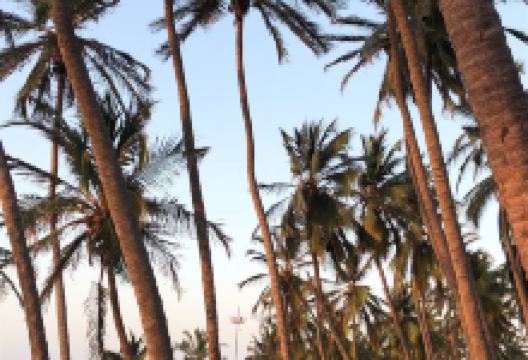 Camellon de Riohacha景点图片