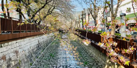 餘佐川路望石橋