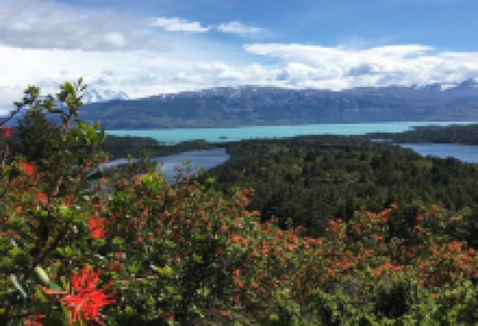 Lago Del Toro景点图片