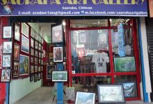 Sauraha Art Gallery景点图片