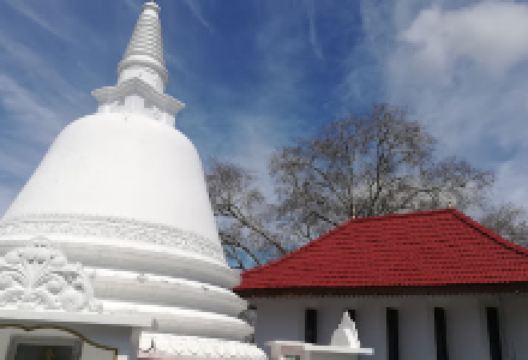 Balagolla Buddhist Center景点图片