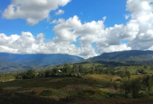 Kebun Raya Biologi Wamena景点图片
