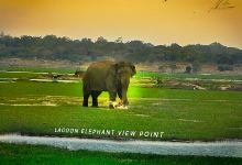 Lagoon Elephant View Point景点图片