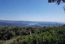 Punta San Michele Arenas景点图片