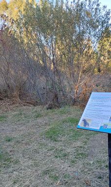 Arcade Creek Park Preserve-萨克拉门托县