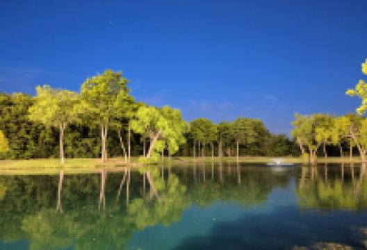 Roanoke Community Park景点图片
