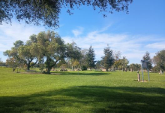 Preisker Park景点图片