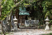 井田神社景点图片