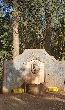 Bosque Municipal Manoel Julio De Almeida-科内利乌－普罗科皮乌