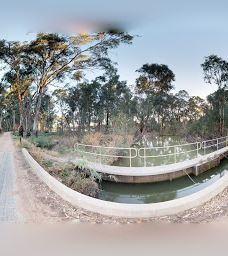 Kings Billabong-米尔迪拉